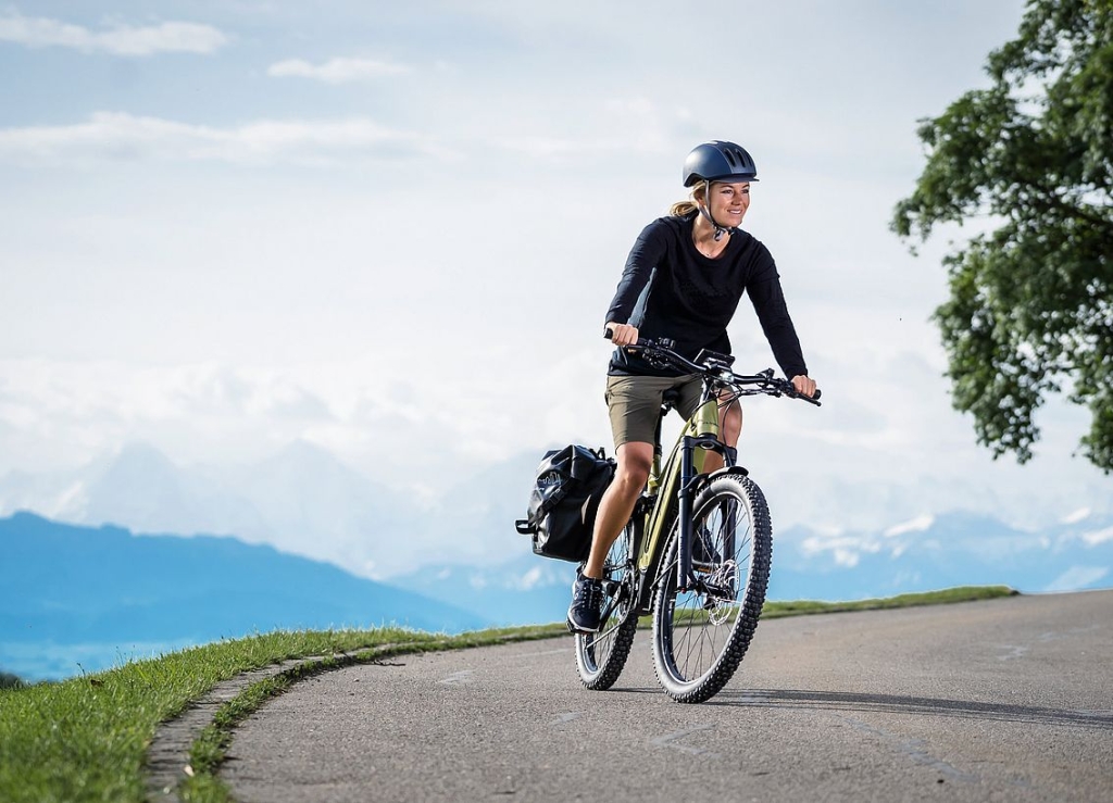 Lot de 3 sièges flyer SE Bikes : siège flyer SE, poignées d'aile SE